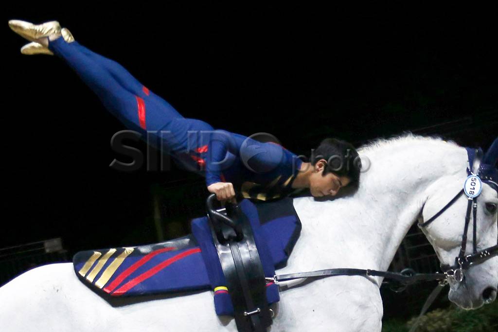 World Equestrian Games...