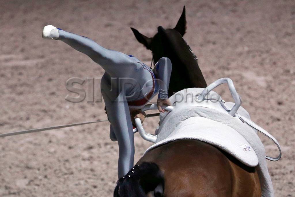 World Equestrian Games...