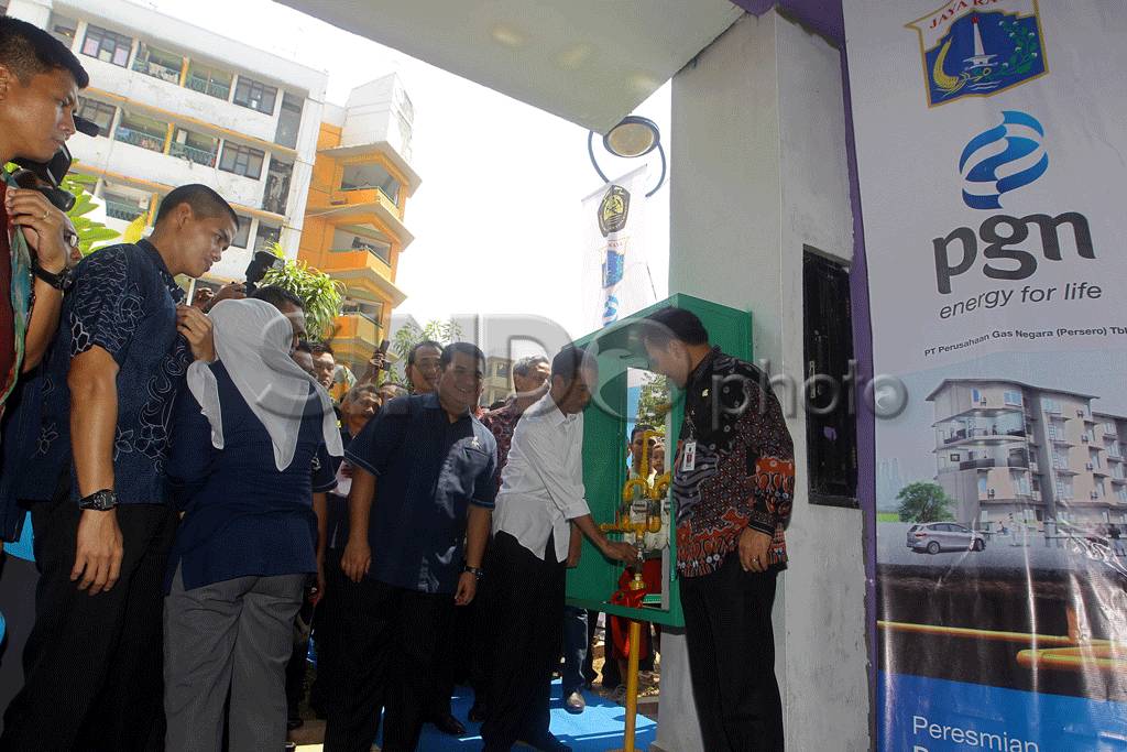 Pemanfaatan Gas Bumi...