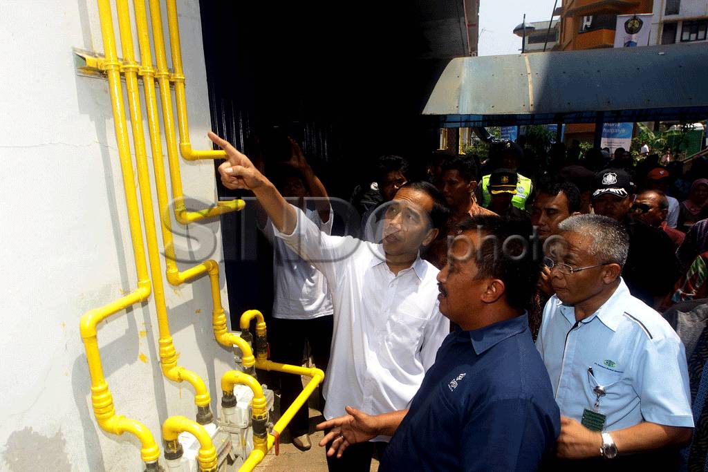 Pemanfaatan Gas Bumi...