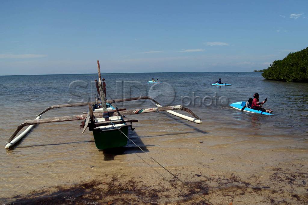 Pesona Baluran