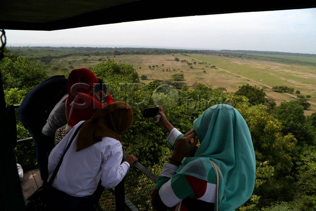 Pesona Baluran