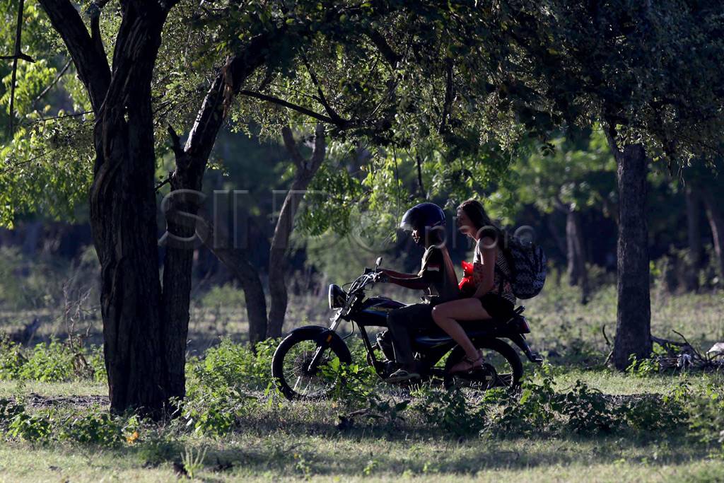 Pesona Baluran