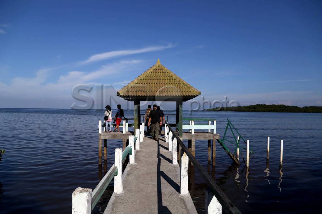 Pesona Baluran