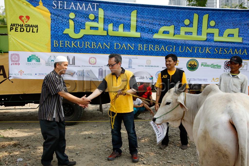 Ratusan Hewan Kurban...
