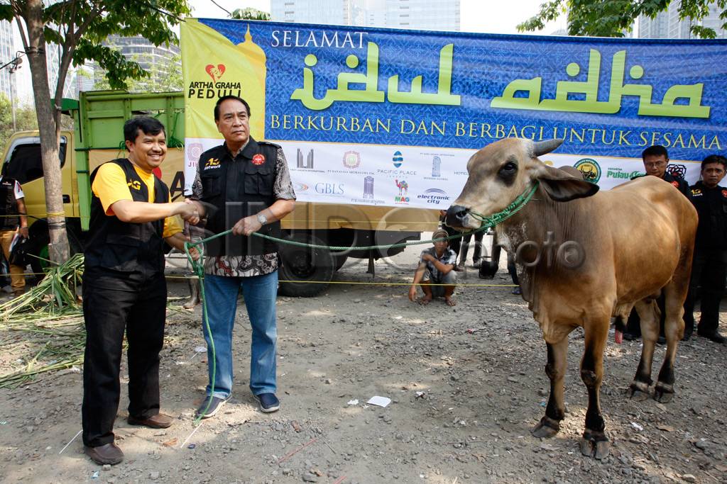 Ratusan Hewan Kurban...