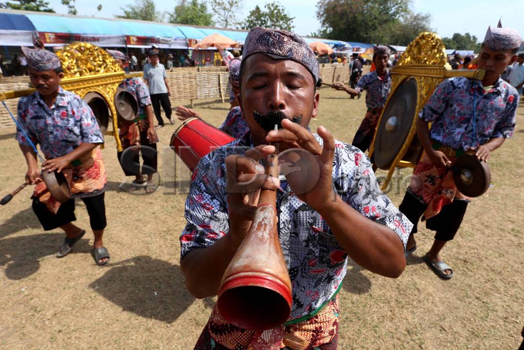 Lenggak-lenggok Sapi...