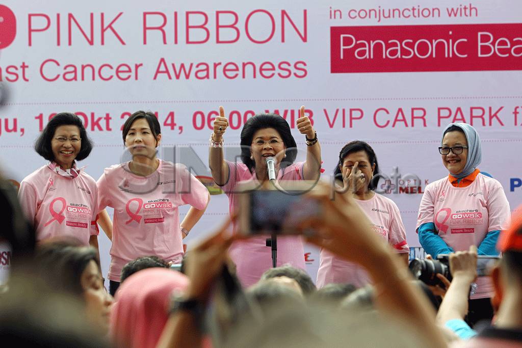 Seckher Walk Pink Ribbon