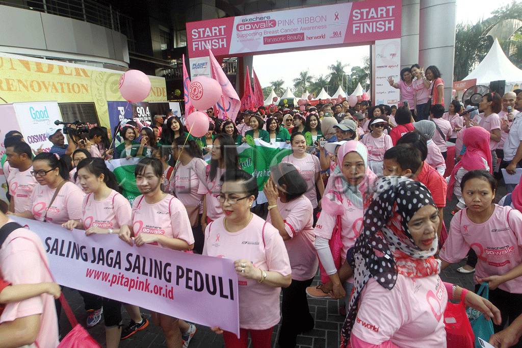 Seckher Walk Pink Ribbon