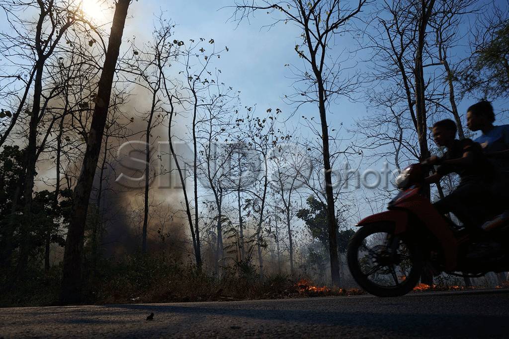 Kebakaran Hutan Jati...