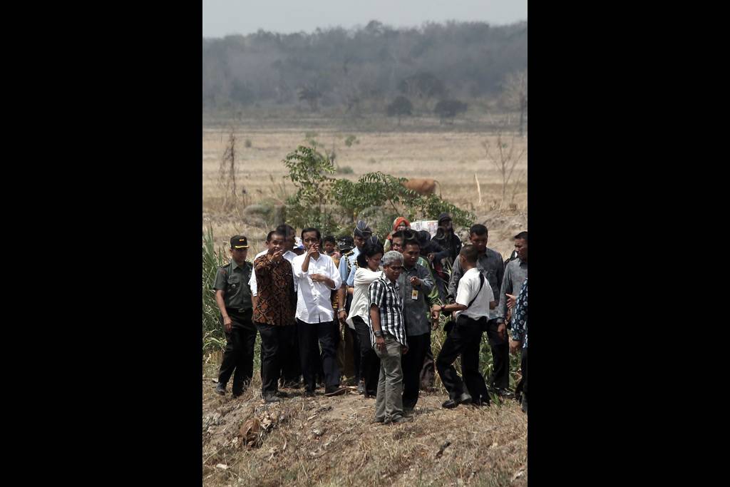 Presiden Jokowi Tinjau...