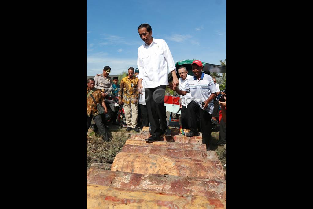 Presiden Tinjau Lahan...