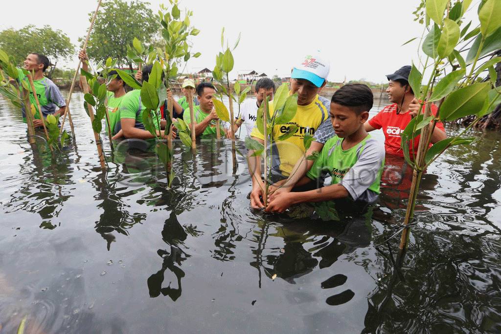 Pertamina Tanam 5.700...