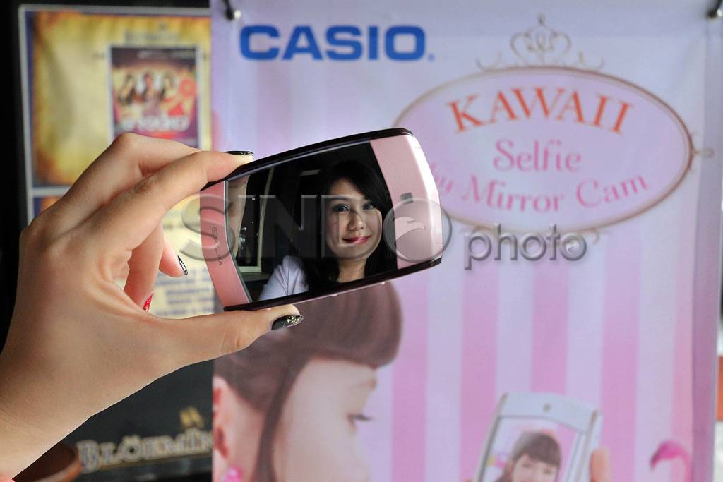 Casio Exilim EX-MR1...