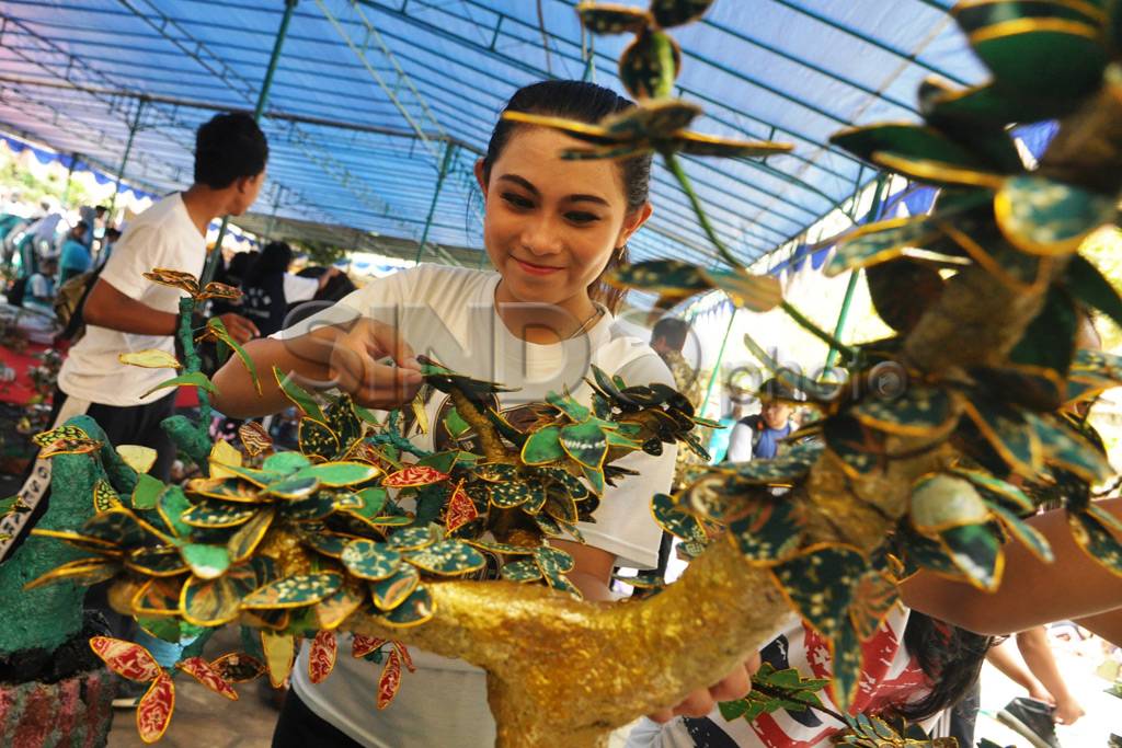 Rekor Bonsai Kain Perca...