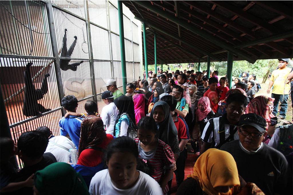 Kebun Binatang Ragunan...