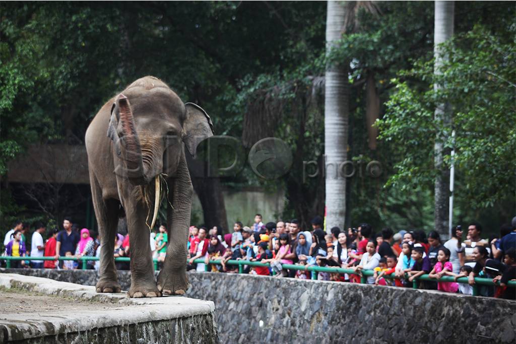 Kebun Binatang Ragunan...