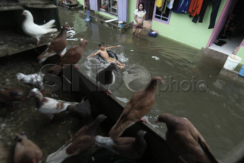 Puluhan Rumah di Makassar...