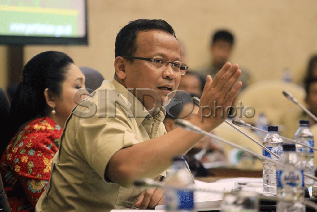Kementan Targetkan Swasembada...