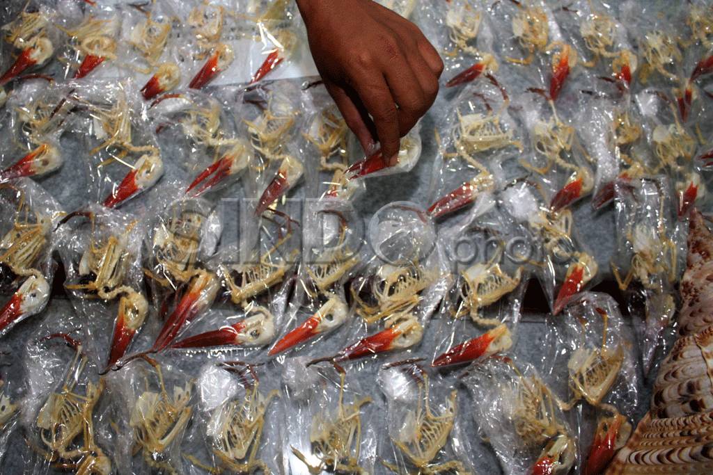 Polisi Bongkar Perdagangan...