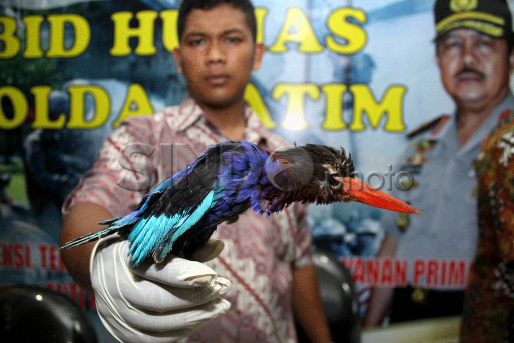 Polisi Bongkar Perdagangan...