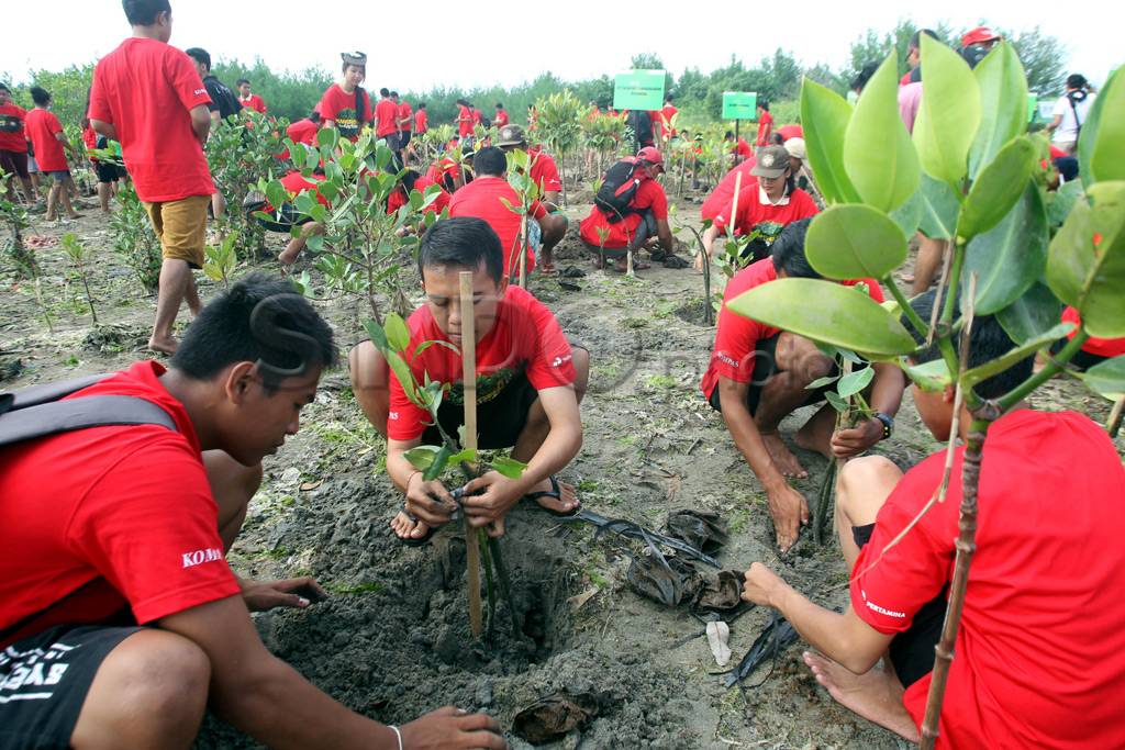 Lanjutkan Program 100...