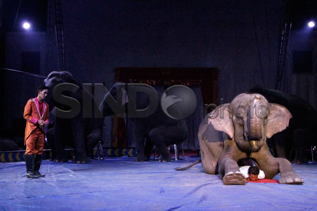 Atraksi Circus Oriental...
