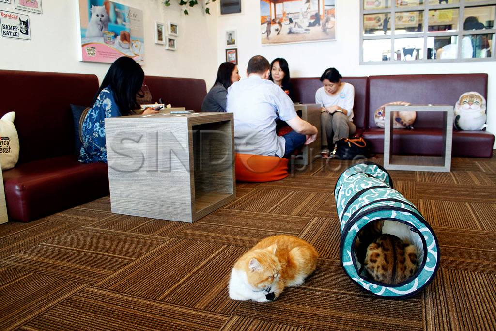 Asiknya Bermain di Kafe...
