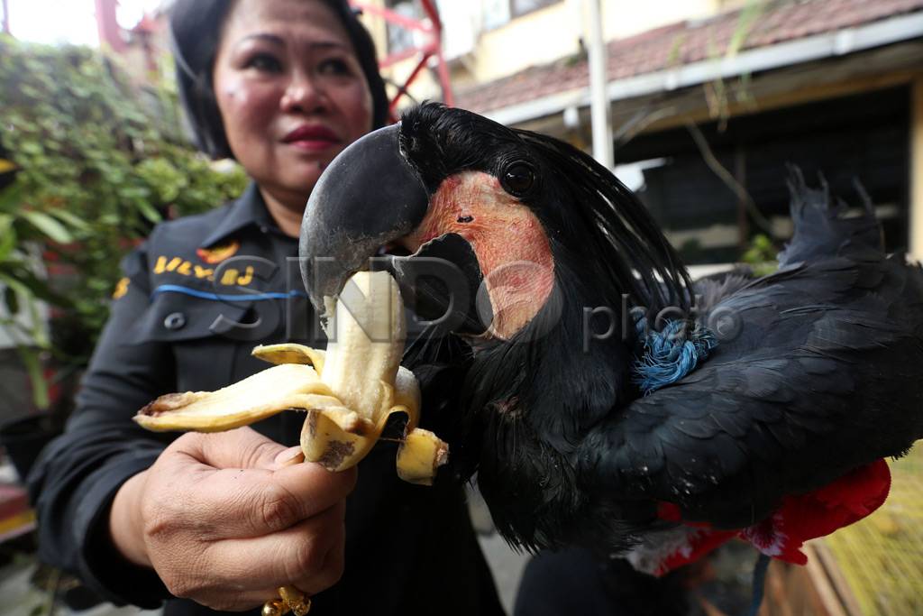 Polres Pelabuhan Tanjung...