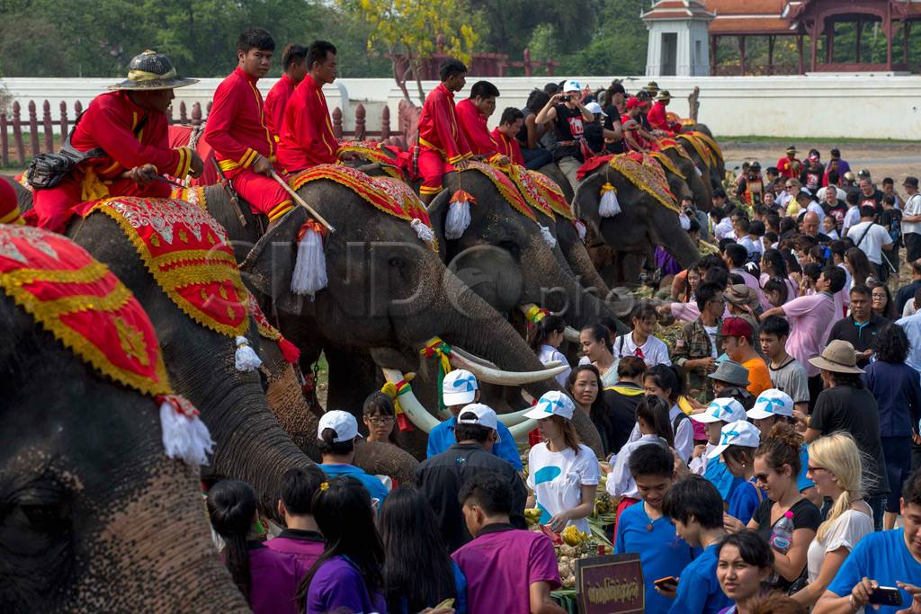 Upacara Hari Gajah Nasional...