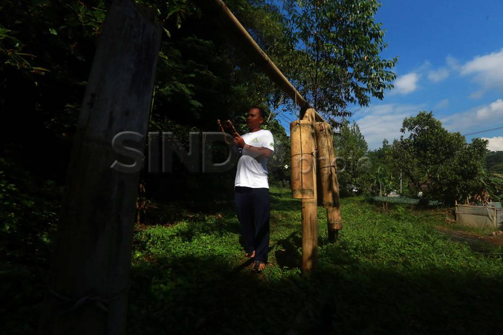 Penangkaran Madu Maribaya