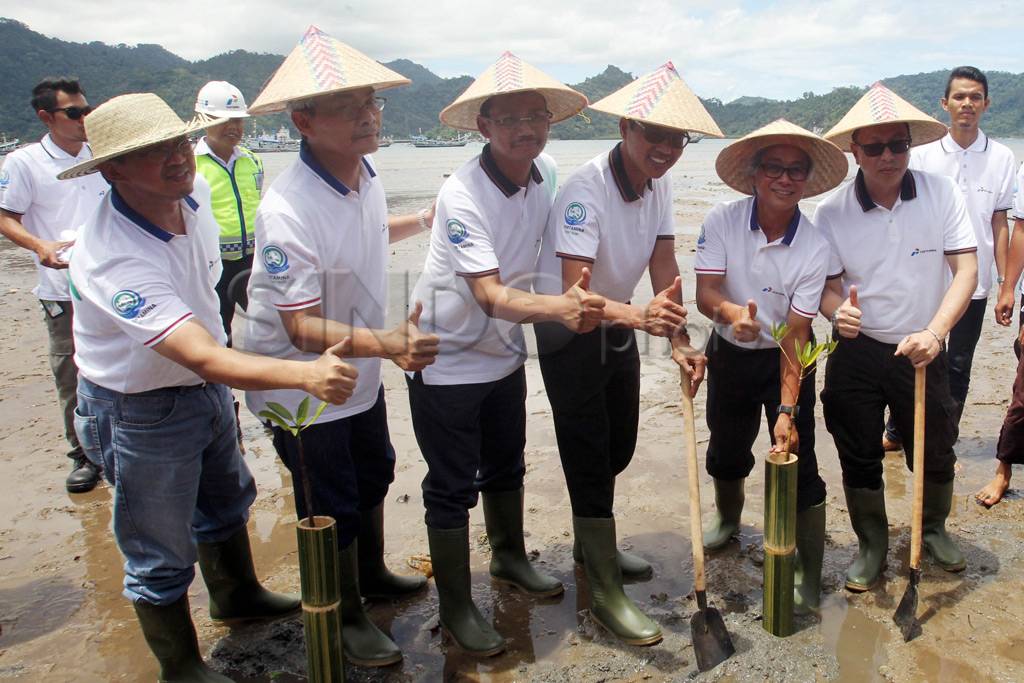 Pertamina Tanam Mangrove...