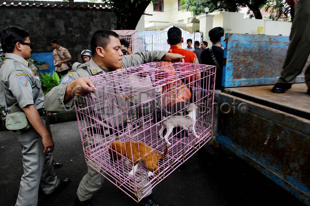 Penertiban Pedagang...