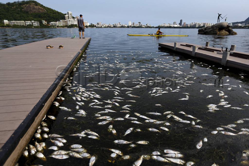 Ribuan Ikan Mati di...