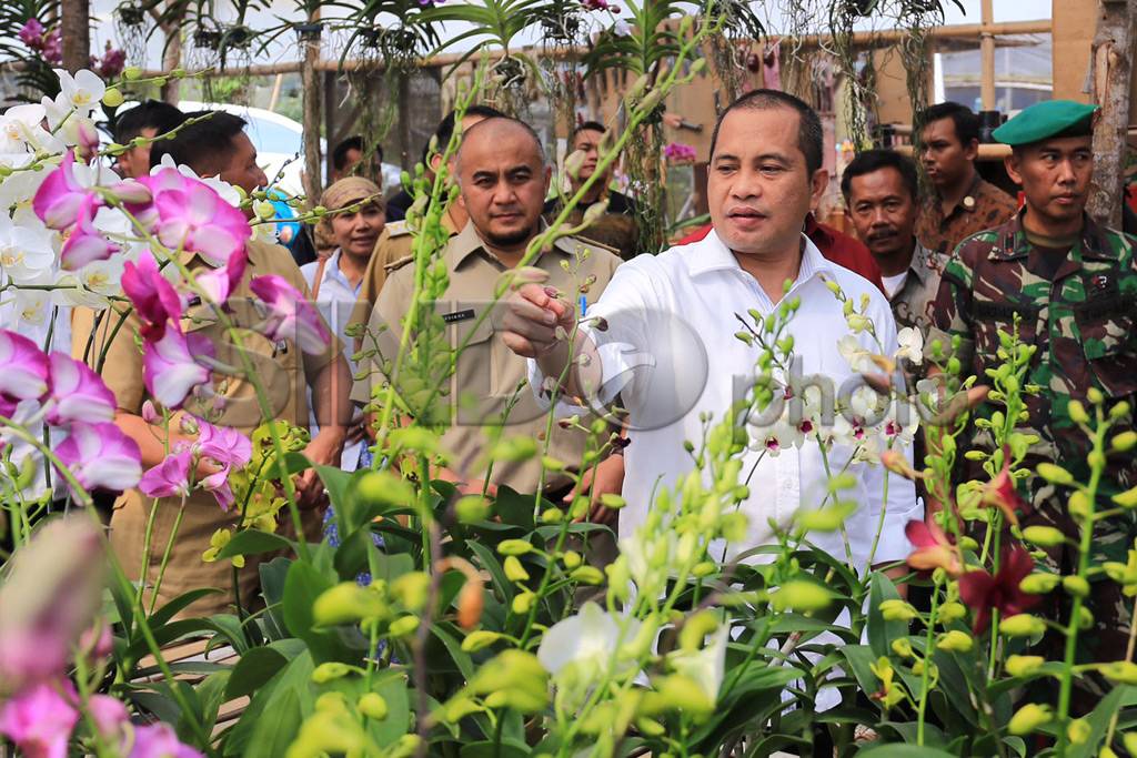Mendes Tinjau Desa Agro...