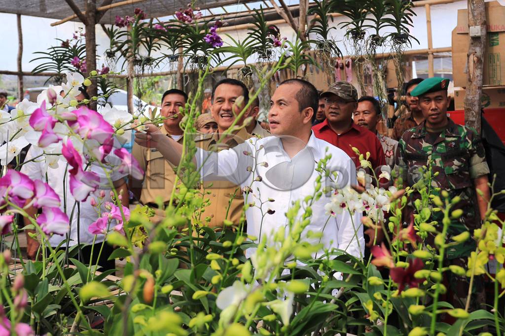 Mendes Tinjau Desa Agro...