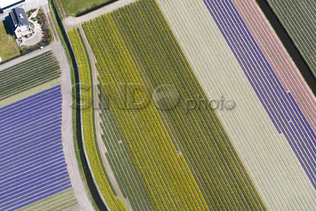 Indahnya Warna-warni...