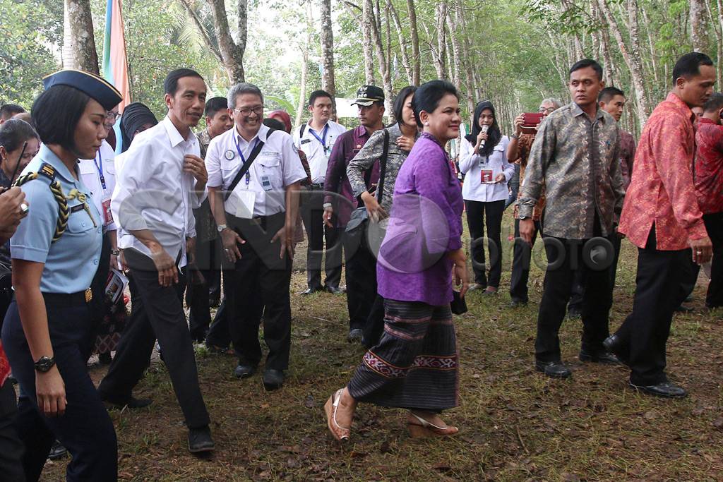 Presiden Jokowi Bagikan...