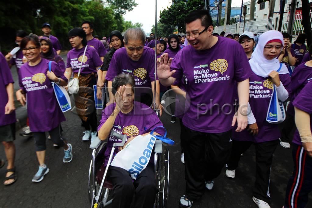 Fun Walk Parkinson
