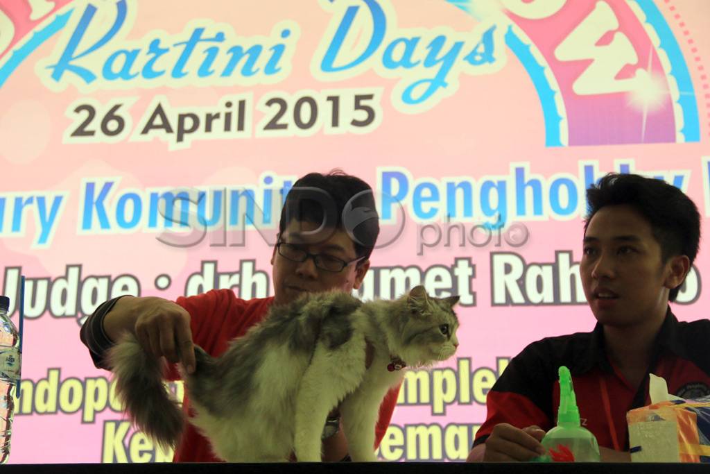 Ratusan Kucing Ikuti...