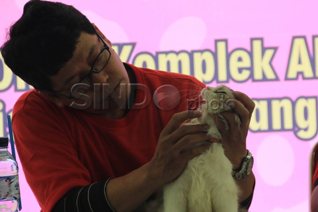 Ratusan Kucing Ikuti...