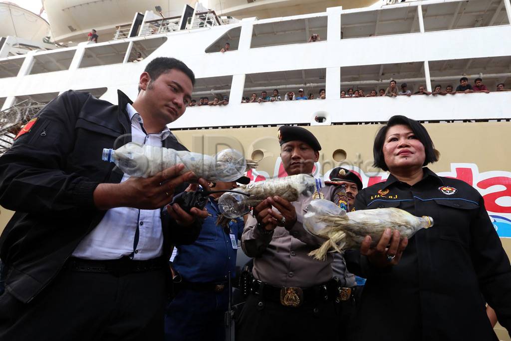 Burung Kakaktua Diseludupkan...
