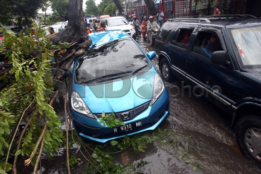 Angin Kencang, Honda...