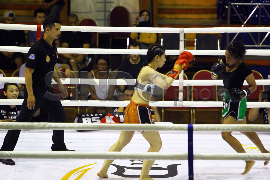 Petarung Muaythai Berlaga...