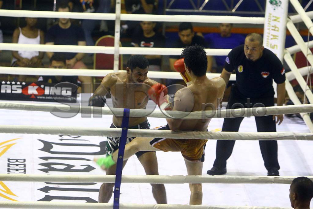 Petarung Muaythai Berlaga...