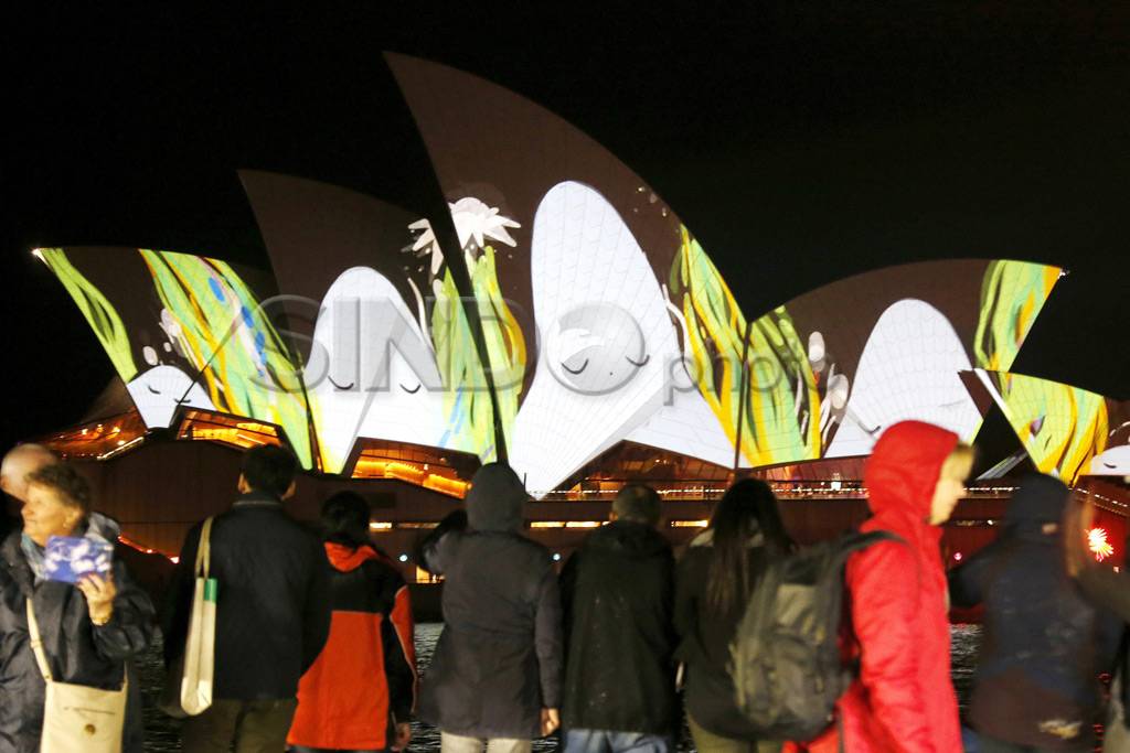 Vivid Sydney Festival...