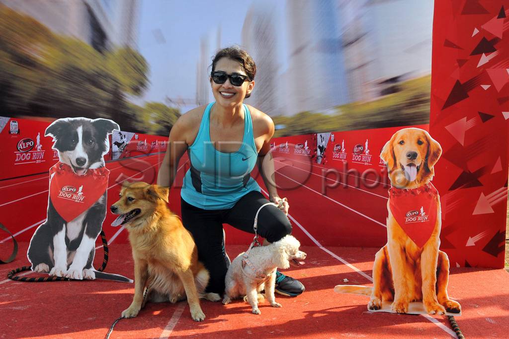Purina Alpo Dog Run...