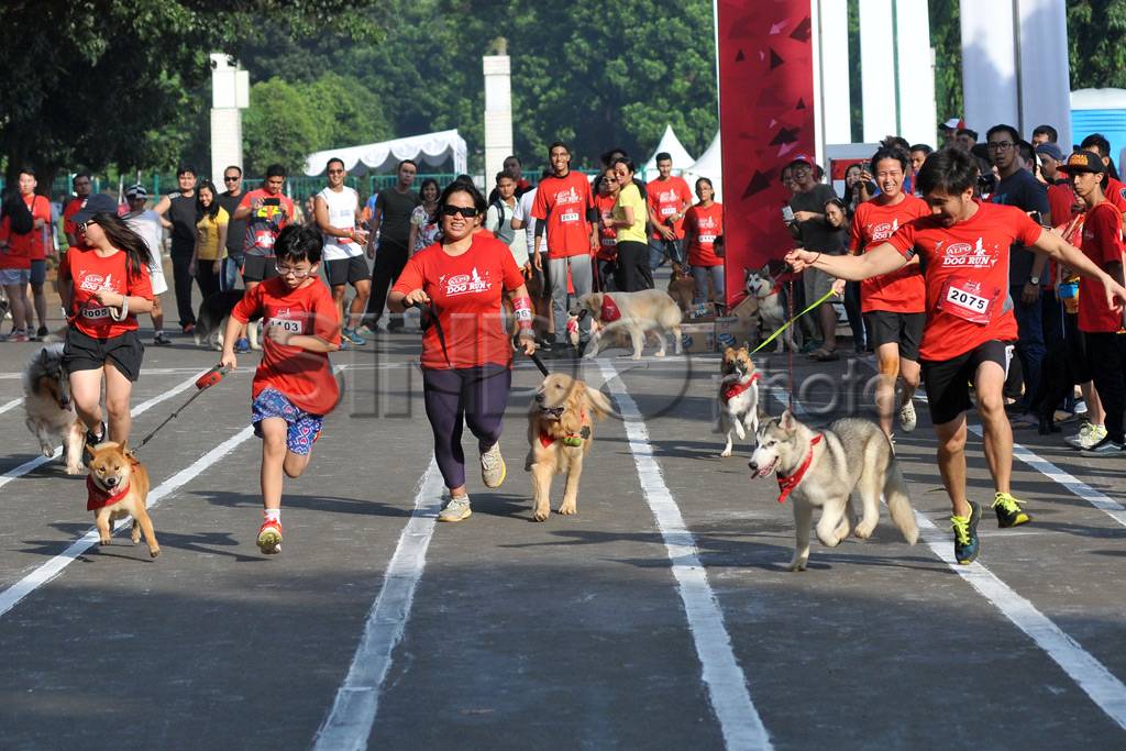 Purina Alpo Dog Run...
