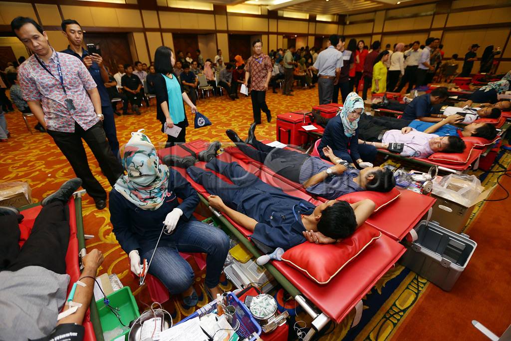 Donor Darah MNC Group