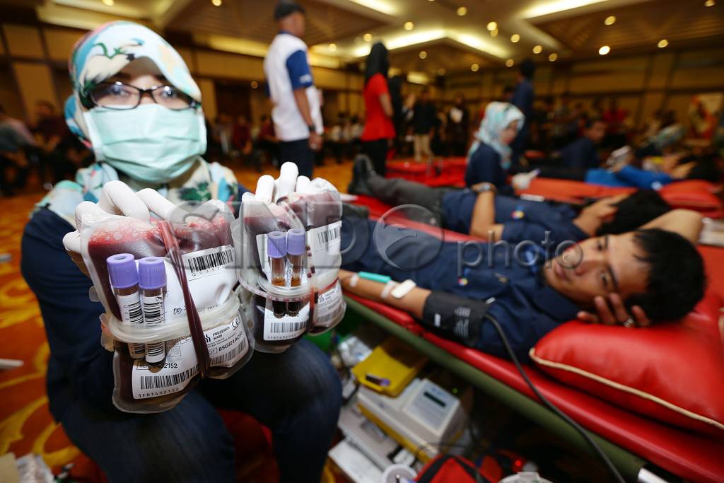 Donor Darah MNC Group